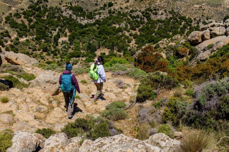 Meet the trees in Cyclades Hiking (Small group experience) - FAQ