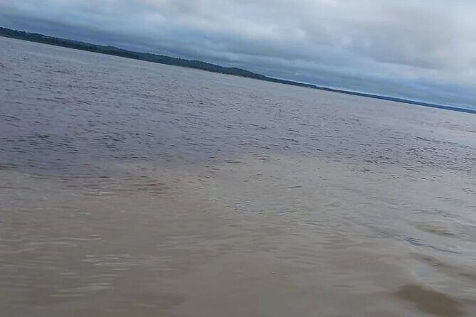 Meeting of the Waters & Pink Dolphin Tour with Lunch - Practical Considerations and Tips