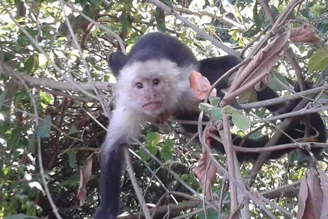 Mega Adventure Tour (Private transportation) - Final Thoughts