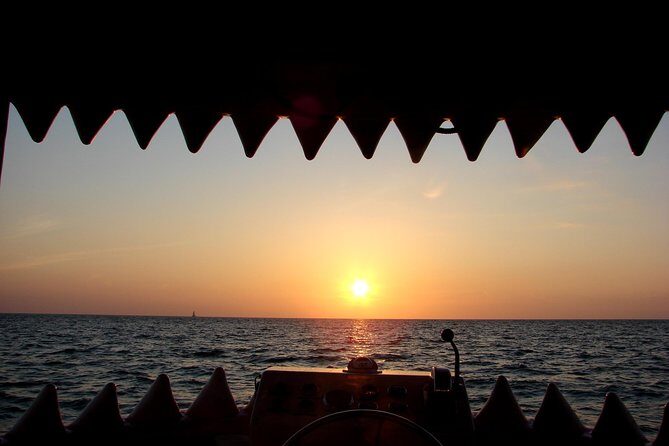 Mega Bite Dolphin Tour Boat in Clearwater Beach - FAQ