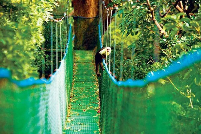 MEGA COMBO: 8 activities in 1 day, including natural hot springs - Starting the Day: Pickup and First Impressions