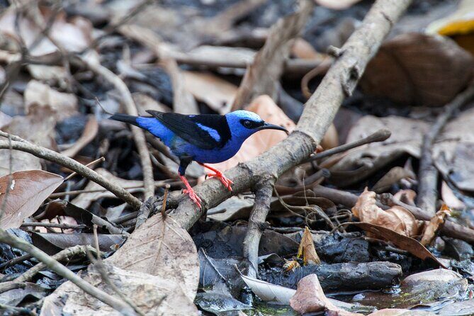 Mega Combo with Tubing, Waterfall, Lunch from Dreams Las Mareas - FAQ