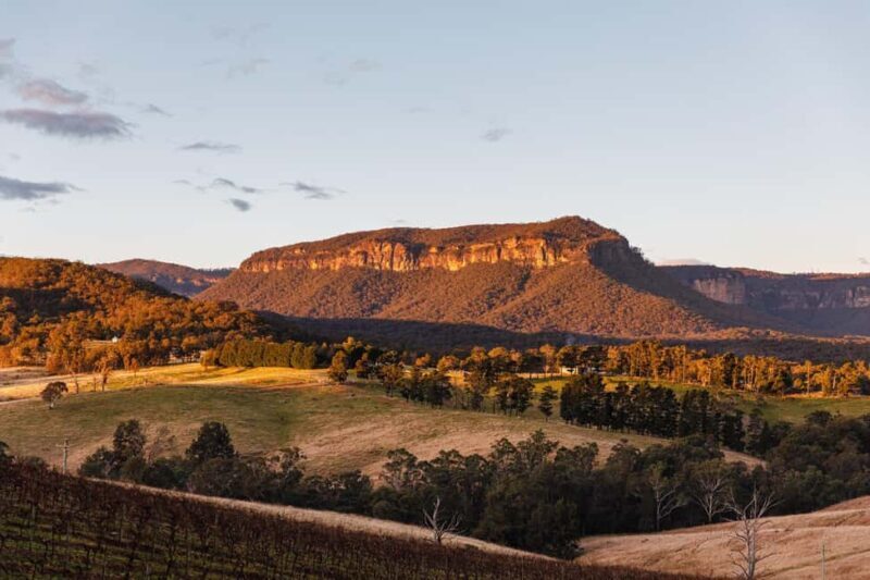 Megalong Valley: Wine Tasting and Stargazing Experience - Key Points