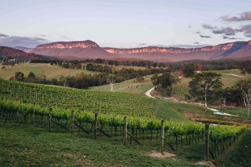 Megalong Valley: Wine Tasting and Stargazing Experience - Value and Authenticity