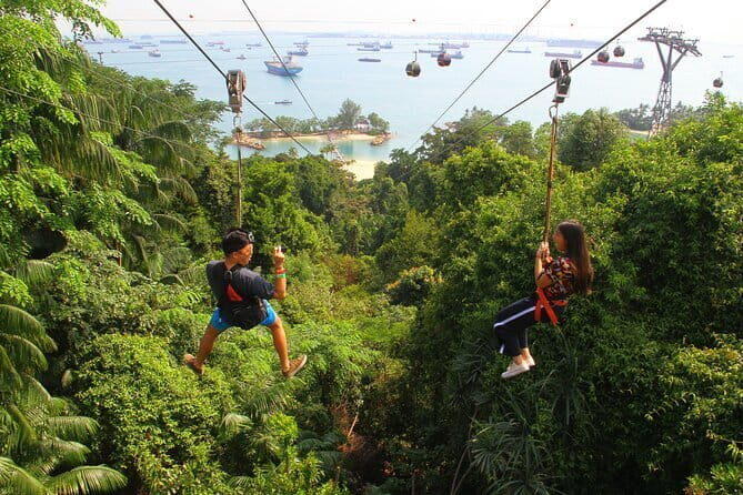 MegaZip, Climb & Jump at Mega Adventure - Key Points