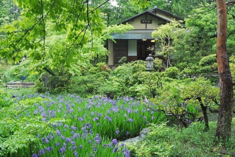 Meiji Jingu Shrine; Aoyama; Art Museums and Walking Tours - A Journey Through Tokyo’s Most Stylish Neighborhoods and Sacred Spaces