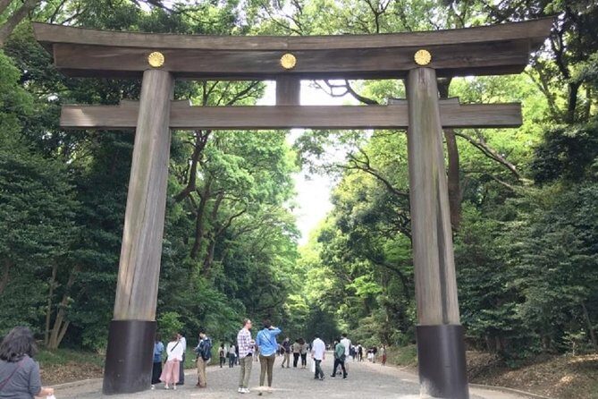 Meiji Jingu Shrine Half-day Tour by public transportation - What Travelers Say