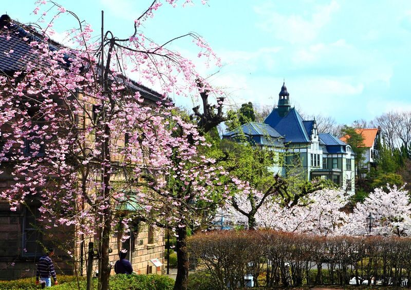 Meiji Mura Admission in Aichi - Budget for walking, weather, and in-park transport