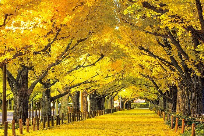 Meiji Shrine & Harajuku Walking Tour Tradition Meets Pop Culture - Final Thoughts