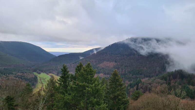 Meistersel Castle: adventure tour of the medieval castle - Who Should Consider This Tour?