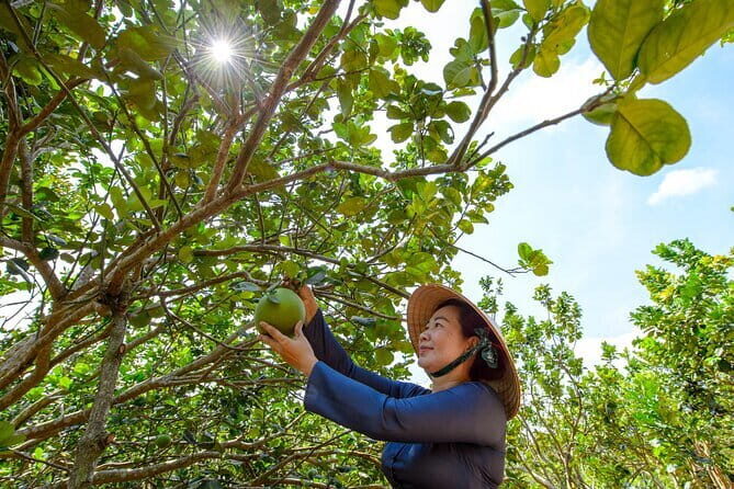 Mekong Countryside One Day Boat Rowing and Exploration Trip - Exploring the Mekong Countryside: A Practical Guide