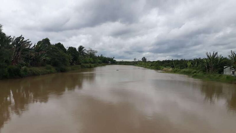 Mekong Day Tour by Car:Cai Be market, Local Island & Cycling - Final Thoughts