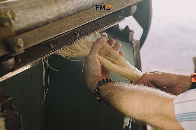 Mekong day tour Visit Cai Rang Floating Market pick up in Sai Gon - Who Should Consider This Tour?