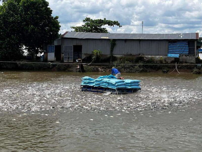 Mekong Delta 4-Day Tour: Ho Chi Minh-Chau Doc-Can Tho-Ca Mau - Who’s This Tour Best For?