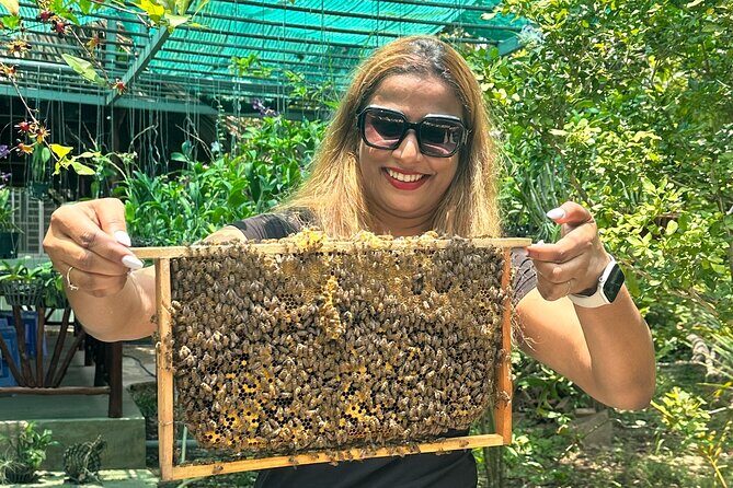 Mekong Delta Day Tour Experience Authentic Vietnamese Culture! - Authenticity, Convenience, and Value