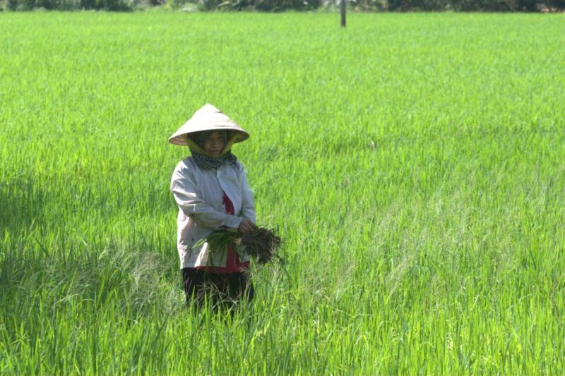 Mekong Delta Private Tour from Ho Chi Minh City - Who Should Consider This Tour?