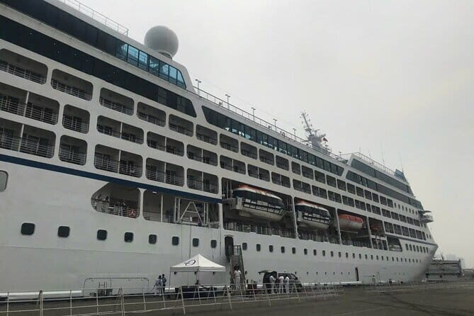 MEKONG DELTA SHORE EXCURSION from Cruise Port - Who Will Enjoy This Tour?