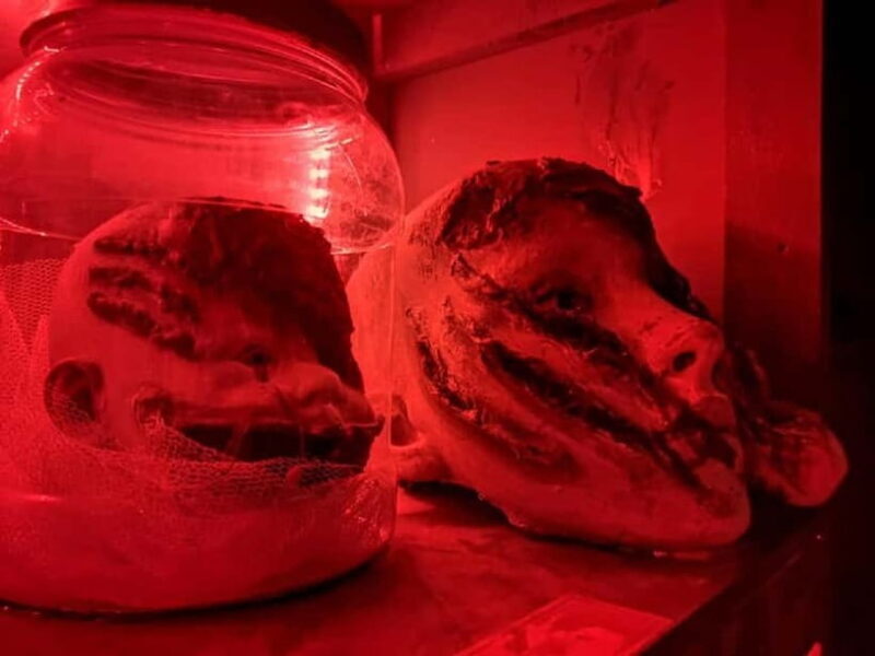 Melaka: Cool Ghost Museum E-Ticket - An Honest Look at the Melaka Cool Ghost Museum