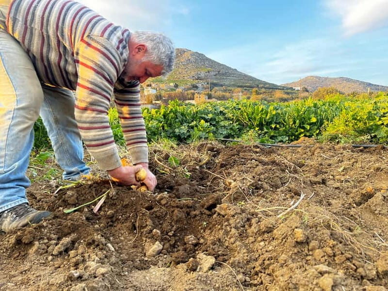 Melanes Tour: Village Highlights & Garden-to-Table Meal - Key Points