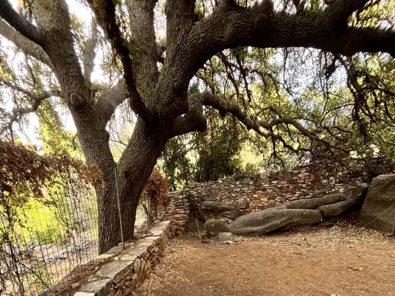 Melanes Tour: Village Highlights & Garden-to-Table Meal - Who Will Love This Tour?