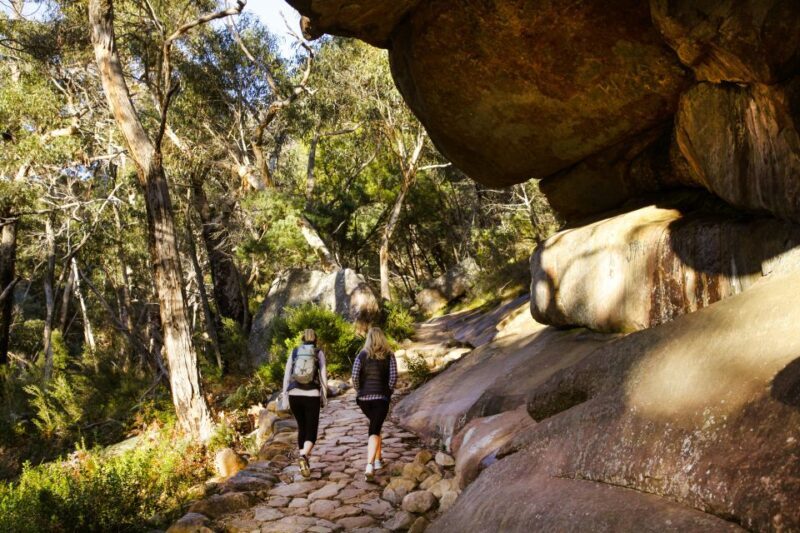 Melbourne: 2-Day Great Ocean Road & Grampians Tour - Authentic Encounters: What Travelers Say