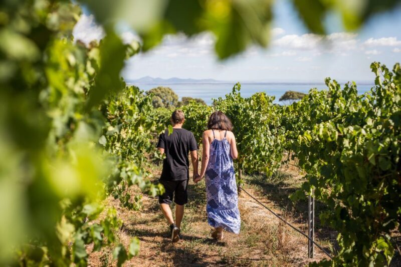 Melbourne: Around the Bay Food & Wine Taste Trail - Melbourne: Around the Bay Food & Wine Taste Trail — A Complete Guide
