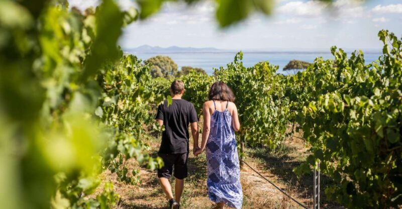 Melbourne: Around the Bay Food & Wine Taste Trail - Detailed Breakdown of the Itinerary and Highlights