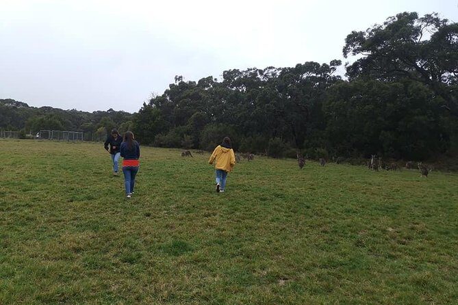 Melbourne Combo: Great Ocean Road Day Trip and Phillip Island Day Trip from Melbourne - Final Thoughts