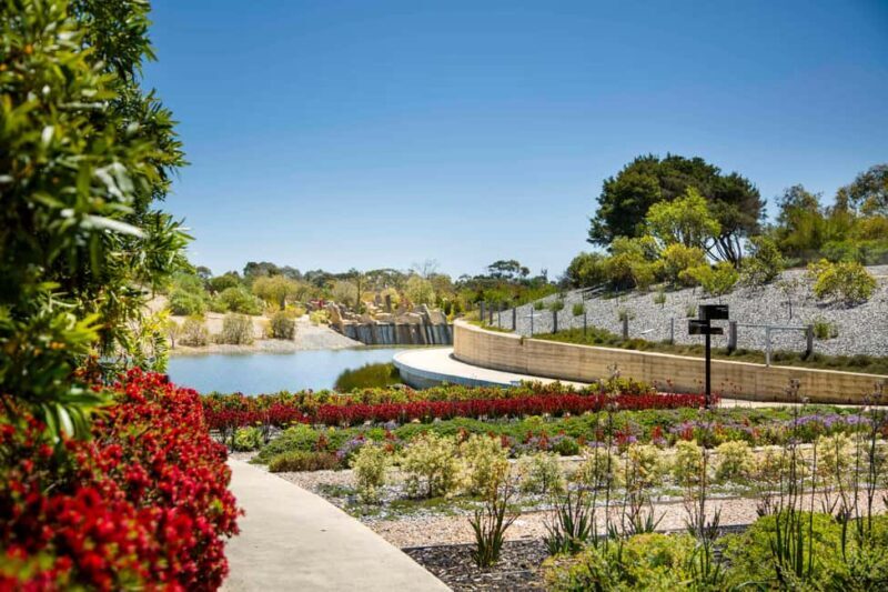Melbourne: Cranbourne Gardens Electric Explorer Tour - Who Should Take This Tour?