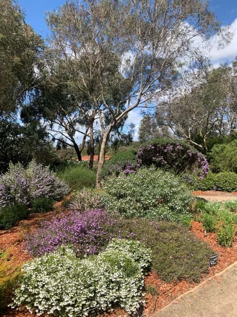 Melbourne: Cranbourne Gardens Electric Explorer Tour - FAQ