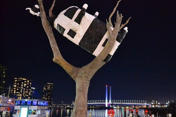 Melbourne Drive by Night - Private Tour - Final Thoughts