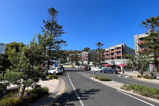 Melbourne: Explore Great Ocean Road by Private Tour - Final Thoughts