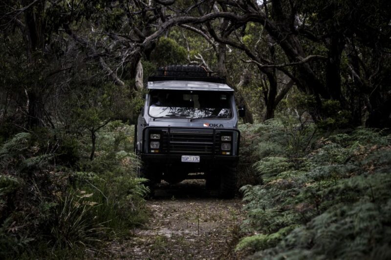 Melbourne: French and Phillip Island Wildlife Expedition - Final Thoughts