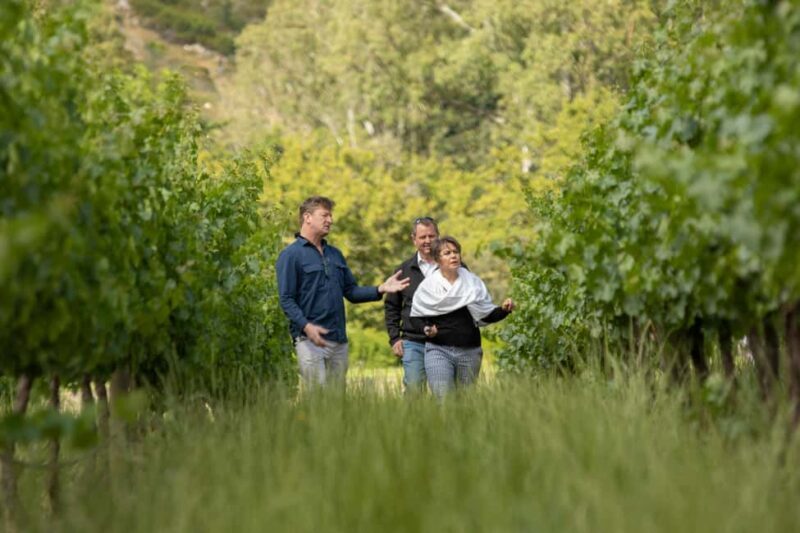 Melbourne: Full-Day Winemaker-Led Wine Tasting Tour - Key Points