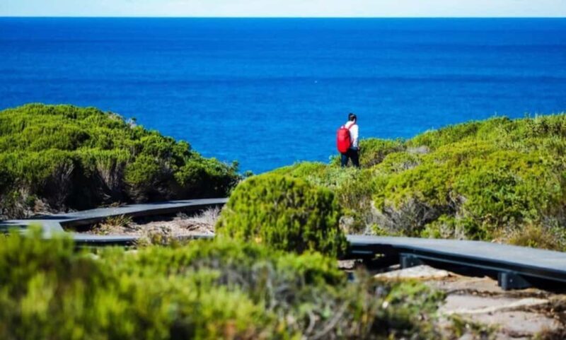 Melbourne: Great Ocean Road Day Tour - Practical Details and what Travelers Should Know