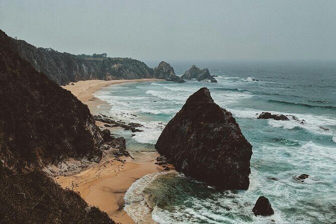 Melbourne: Great Ocean Road & Iconic Coastal Views Day Tour - Who Should Consider This Tour?