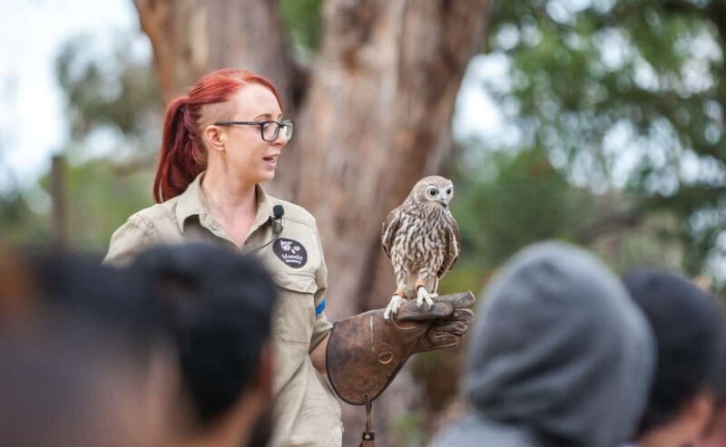 Melbourne: Great Ocean Road, Penguin Parade & Free City Tour - FAQs
