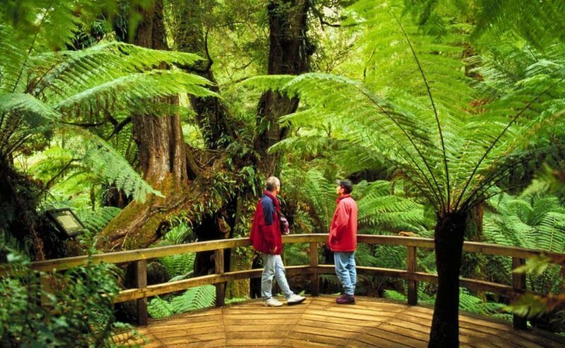 Melbourne: Great Ocean Road, Penguin Parade & Free City Tour - Final Words