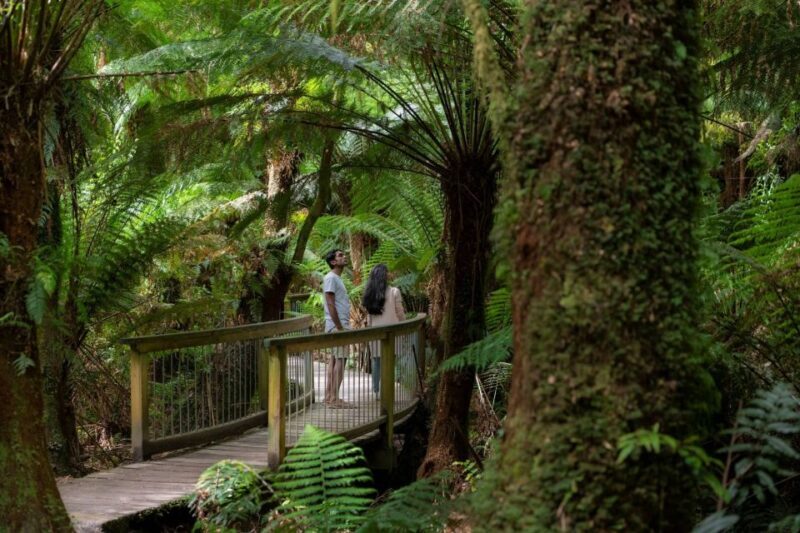 Melbourne: Great Ocean Road & Rainforest Trip - Key Points