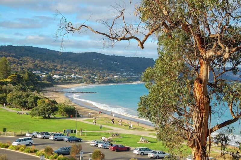 Melbourne: Great Ocean Road to 12 Apostles via the Coastline - Key Points