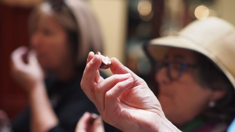 Melbourne: Guided Chocolate Walking Tour of the city - A Closer Look at the Itinerary