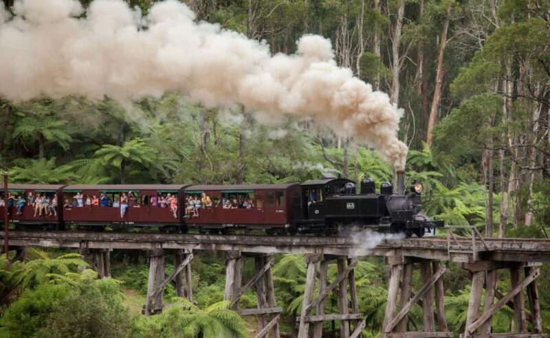 Melbourne: Half-Day Puffing Billy Steam Train Experience - Authentic Feedback from Travelers