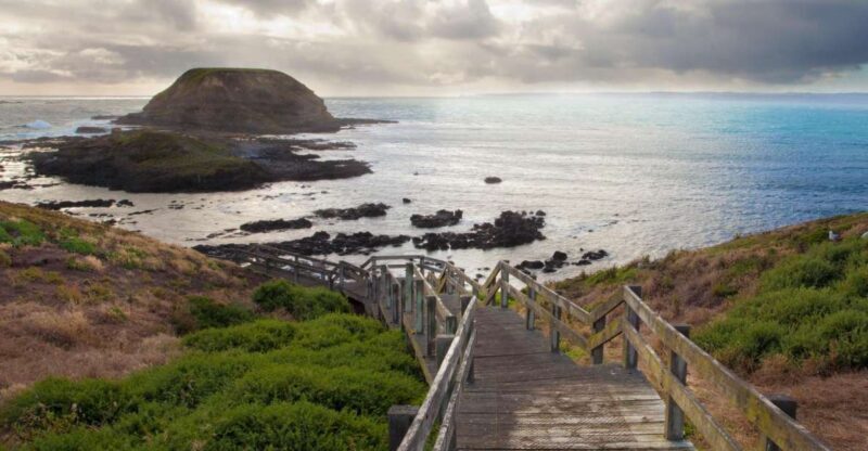 Melbourne: Healesville Sanctuary & Phillip Island Tour - Final Thoughts