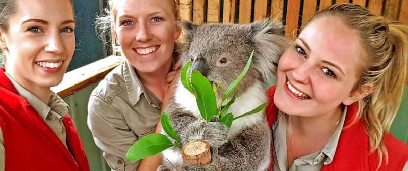 Melbourne Highlights & Aussie Wildlife Express Tour - Practical Details and What to Expect