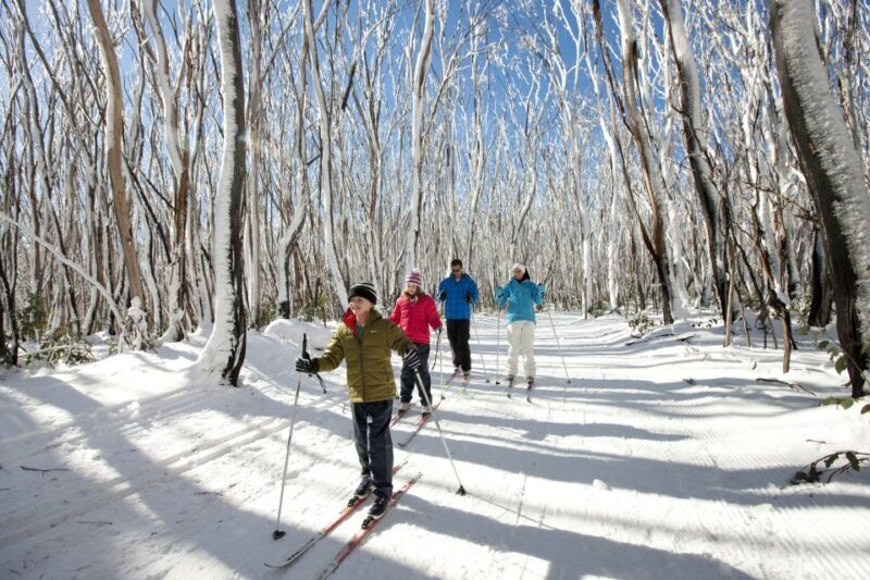 Melbourne: Lake Mountain Snow Guided Tour - Who This Tour Is Best For