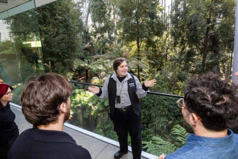 Melbourne: Melbourne Museum Guided Tour with Entry Ticket - A Deep Dive into the Melbourne Museum Guided Tour