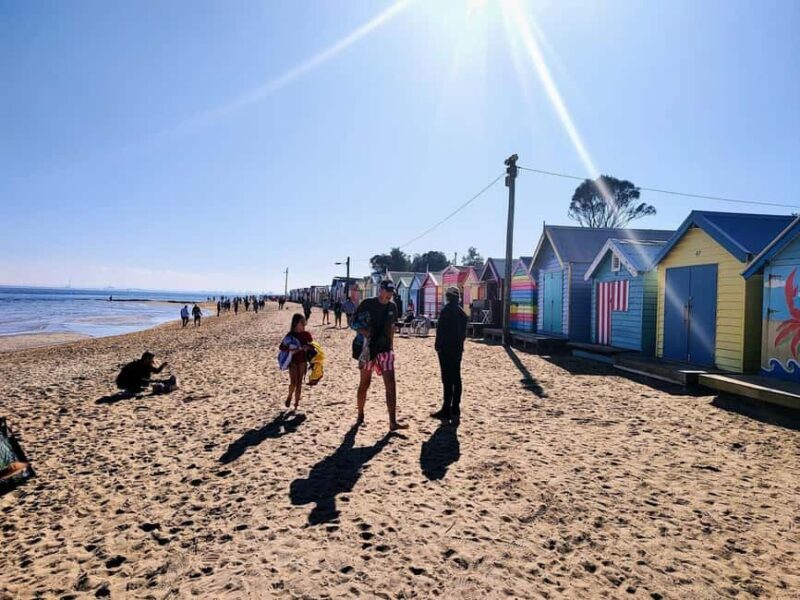 Melbourne: Moonlit Sanctuary and Brighton Beach Boxes Tour - Why This Tour Works for Travelers