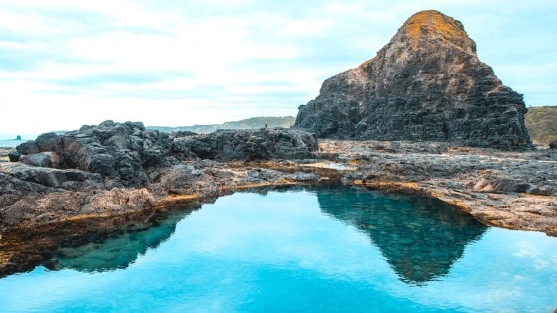 Melbourne: Mornington Peninsula & Hot Springs Tour 8 pax max - Discover the Best of Mornington Peninsula in a Day