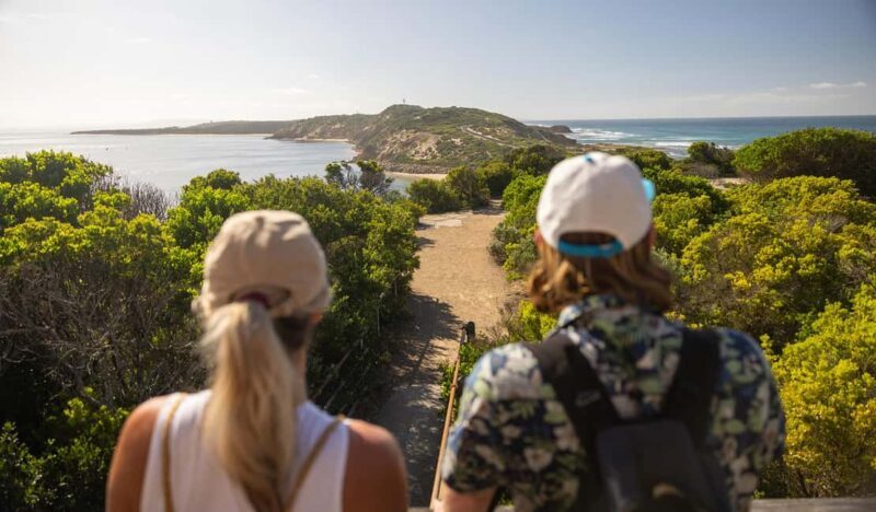 Melbourne: Mornington Peninsula Southern Coast Discovery - Why This Tour Offers Great Value