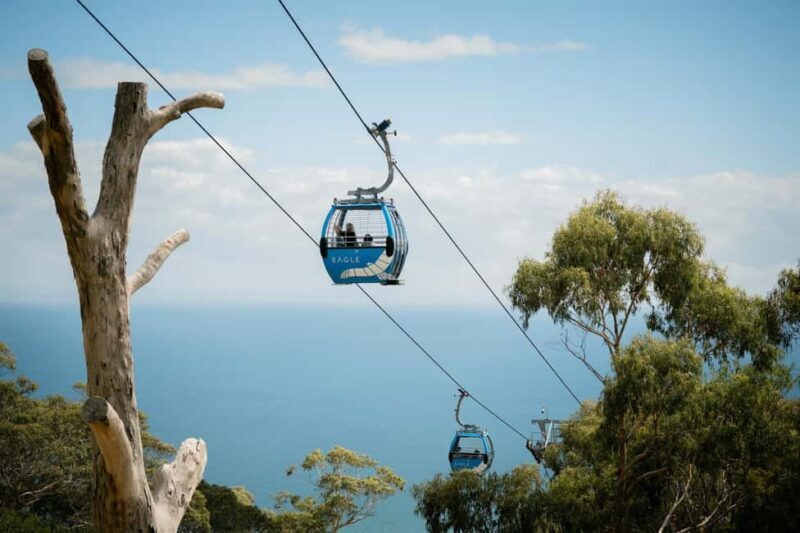 Melbourne: Mornington Peninsula Southern Coast Discovery - Frequently Asked Questions